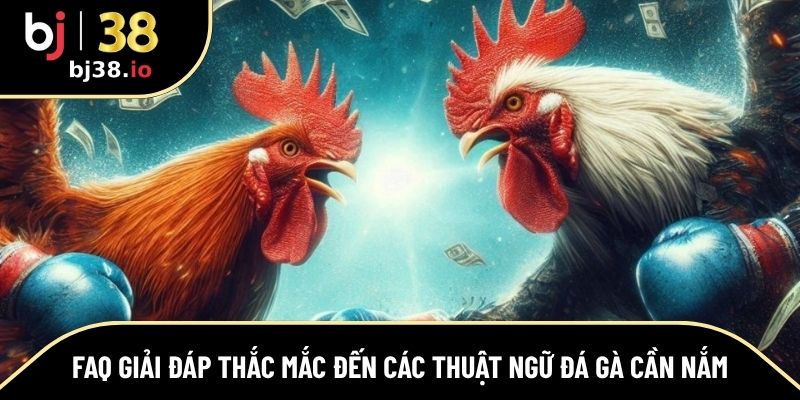 FAQ giải đáp về các thuật ngữ