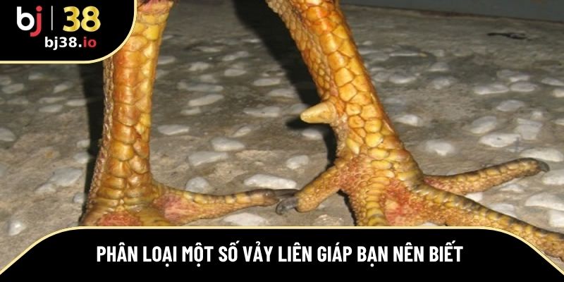 Một số vảy liên giáp phổ biến hiện nay 