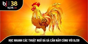 các thuật ngữ đá gà cần nắm