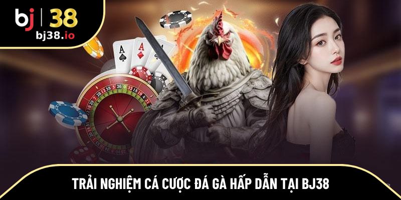 Trải nghiệm cá cược đá gà hấp dẫn tại BJ38
