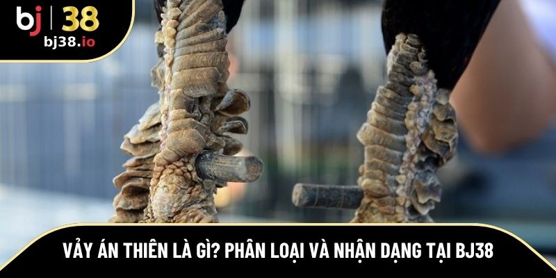 vảy án thiên là gì