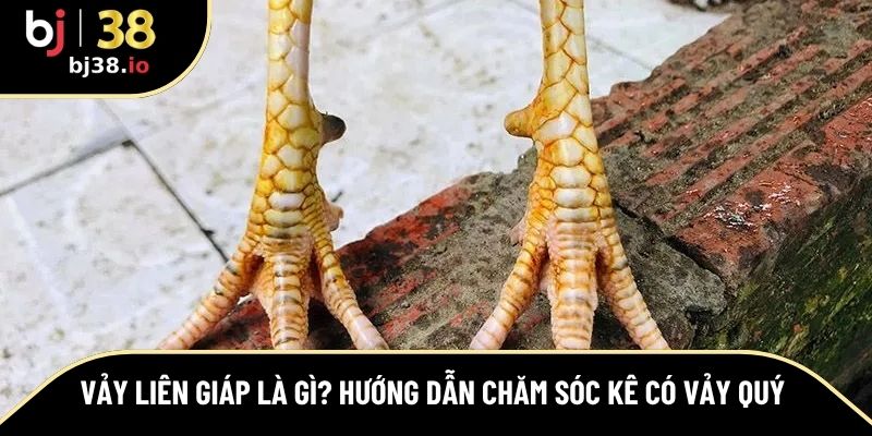 vảy liên giáp là gì 
